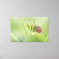 Bug rouge - Une Bouteille supplémentaire ne fait p