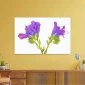 Toile Bugloss vipères pourpres (echium plantagineum) (Insitu(Salon))
