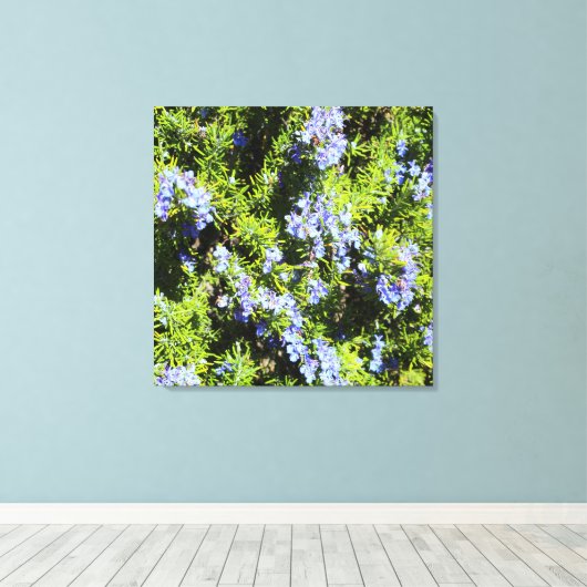 Toile buisson romarin à fleurs (Insitu (Plancher de Bois))