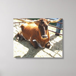Toile Bull Cow Long Horns Ranch rodéo de rodéo Animaux P