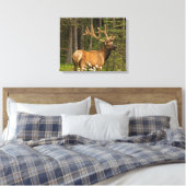 Toile Bull Elk en Velvet, Canada (Insitu(Chambre))