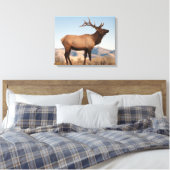 Toile Bull Elk près de Mammoth | Wyoming (Insitu(Chambre))