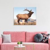Toile Bull Elk près de Mammoth | Wyoming (Insitu(Salon))