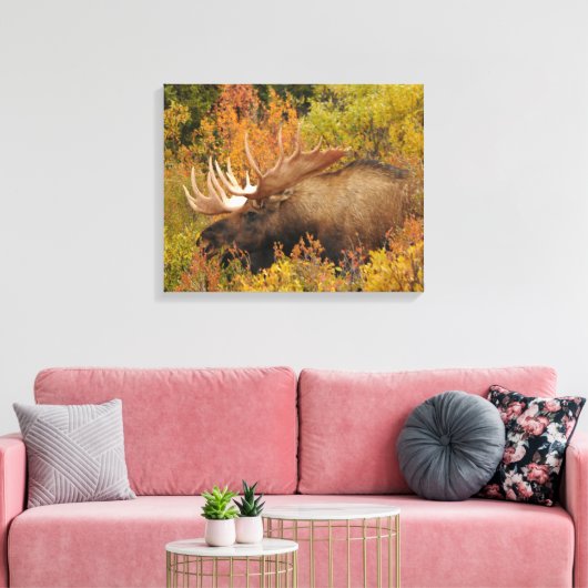 Toile Bull Moose | Parc national de Denali, Alaska (Insitu(Salon))