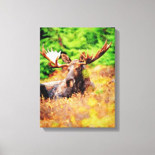 Toile Bull Moose Pose En Aquarelle Peinture Faune (Recto)
