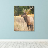 Toile Bull Roosevelt Elk dans l'herbe | État de Washingt (Insitu (Plancher de Bois))