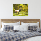 Toile Bull Roosevelt Elk Debout Dans Le Pré (Insitu(Chambre))