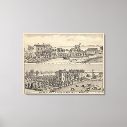 Toile Bullard, Jackson (Recto)