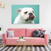 Toile Bulldog (Insitu(Salon))