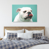 Toile Bulldog (Insitu(Chambre))