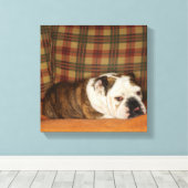 Toile bulldog allongé sur un canapé (Insitu (Plancher de Bois))