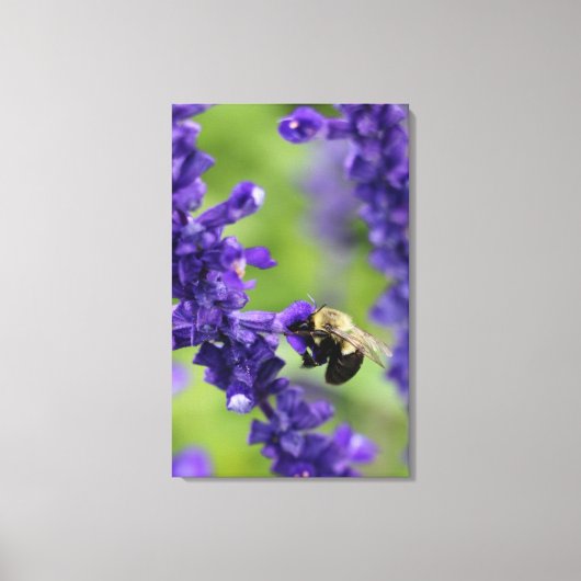 Toile Bumble Bee (Recto)