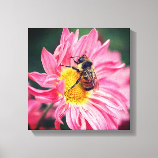 Toile Bumble Bee On Rose Daisy Flower 2 (Recto)
