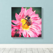 Toile Bumble Bee On Rose Daisy Flower 2 (Insitu (Plancher de Bois))