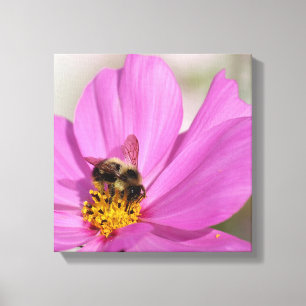 Toile Bumblebee et Cosmos