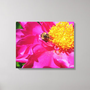 Toile Bumblebee et Peony