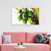 Toile Bunch de noix de coco ~ Caraïbes (Insitu(Salon))