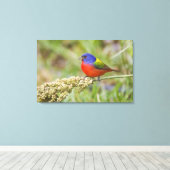 Toile Bunting peint (ciris passeriens) alimentation mâle (Insitu (Plancher de Bois))