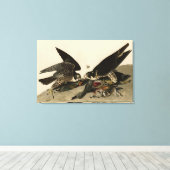 Toile Buse à pattes géantes des oiseaux d'Amérique d'Aud (Insitu (Plancher de Bois))