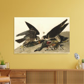 Toile Buse à pattes géantes des oiseaux d'Amérique d'Aud (Insitu(Salon))