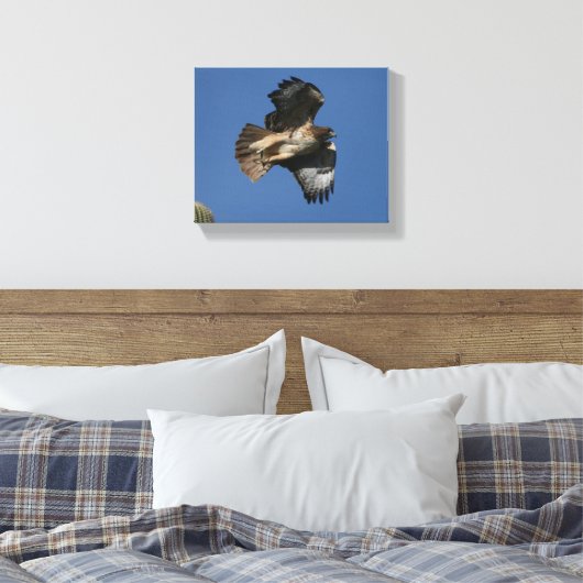 Toile Buse à queue rouge (Insitu(Chambre))