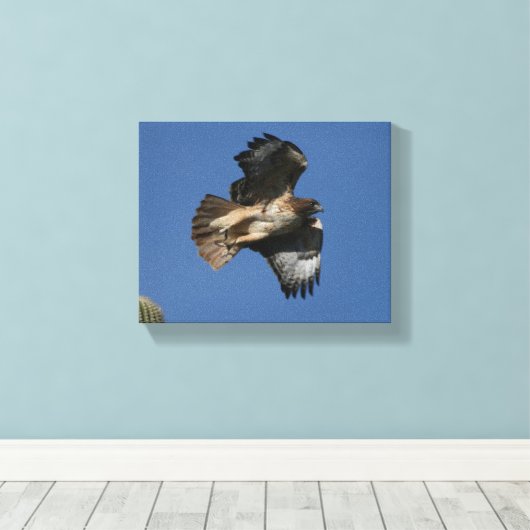 Toile Buse à queue rouge (Insitu (Plancher de Bois))