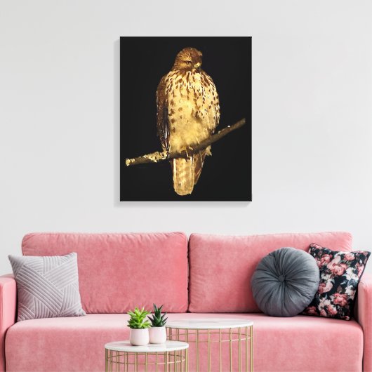 Toile Buse à queue rouge (Insitu(Salon))