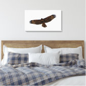 Toile Buse à queue rouge en vol, comté de Humboldt, CA (Insitu(Chambre))