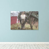 Toile Buse à queue rouge Grange rouge 36 po x 24 po (Insitu (Plancher de Bois))