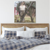 Toile Buse à queue rousse perchée sur une branche 60 cm (Insitu(Chambre))