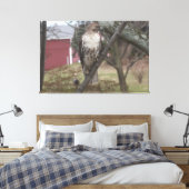 Toile Buse à queue rousse sur grange rouge arbre 60" x 4 (Insitu(Chambre))