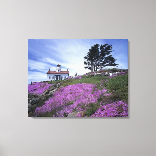 Toile CA, Crescent City, phare de Battery Point avec (Recto)