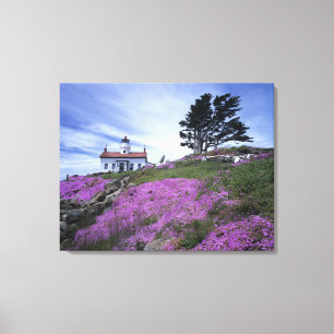 Toile CA, Crescent City, phare de Battery Point avec