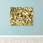 Toile cacahuètes (Insitu (Plancher de Bois))