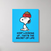 Toile cacahuètes | Snoopy Équilibrer Son Chien Disque (Recto)