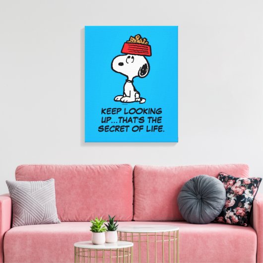 Toile cacahuètes | Snoopy Équilibrer Son Chien Disque (Insitu(Salon))