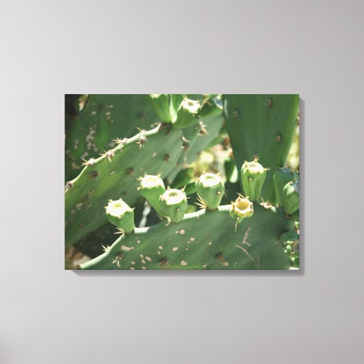 Toile Cactus (Recto)