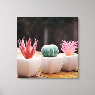 Toile Cactus