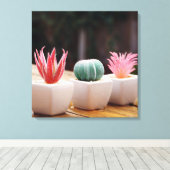 Toile Cactus (Insitu (Plancher de Bois))
