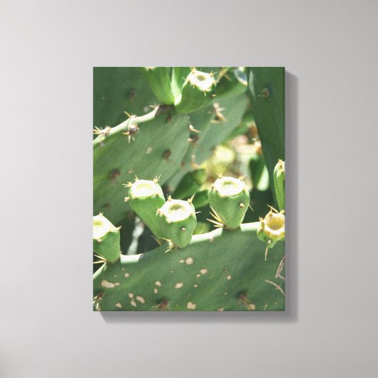 Toile Cactus (Recto)