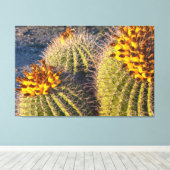Toile Cactus à barils (Insitu (Plancher de Bois))