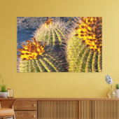 Toile Cactus à barils (Insitu(Salon))