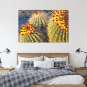 Toile Cactus à barils (Insitu(Chambre))