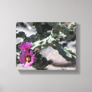 Toile Cactus Challa en fleurs