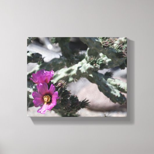 Toile Cactus Challa en fleurs (Recto)