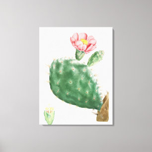 Toile Cactus Cochenillifer, Illustration Antique, 1799 