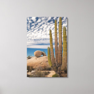 Toile Cactus dans un paysage désertique