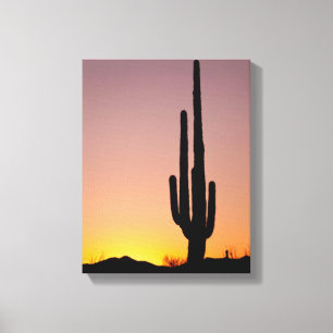 Toile Cactus de Saguaro au coucher du soleil