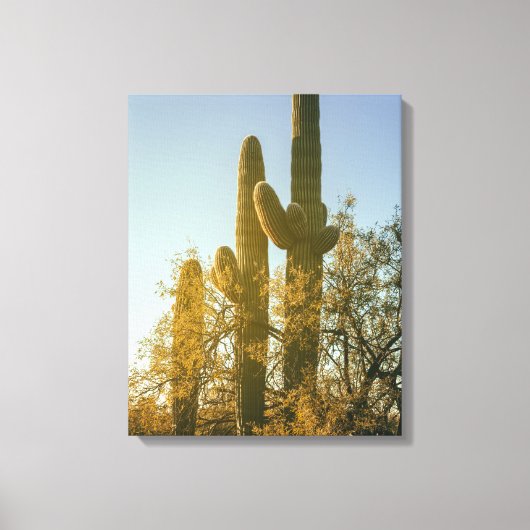 Toile Cactus du Saguaro (Recto)