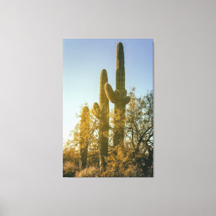 Toile Cactus du Saguaro